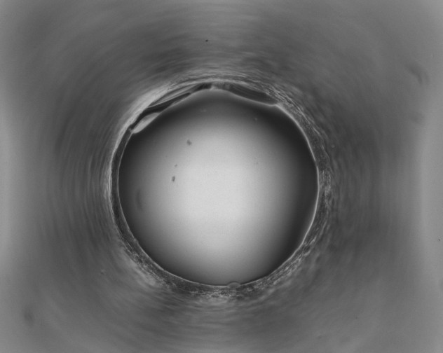 X0000111900148200908031124