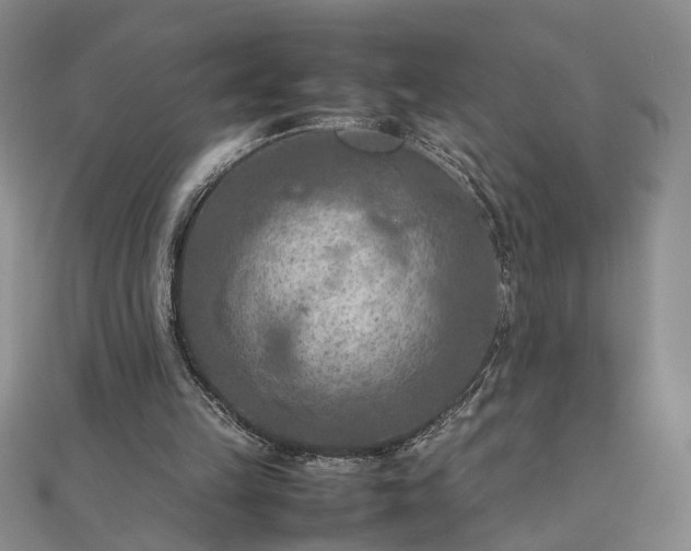 X0000111900149200908031124