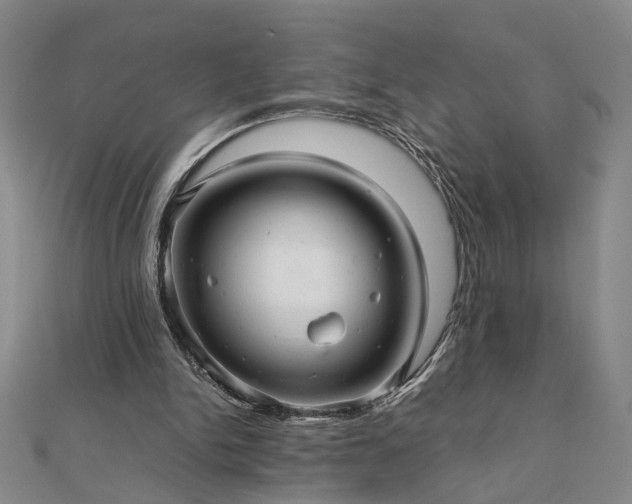 X0000111900150200908031124