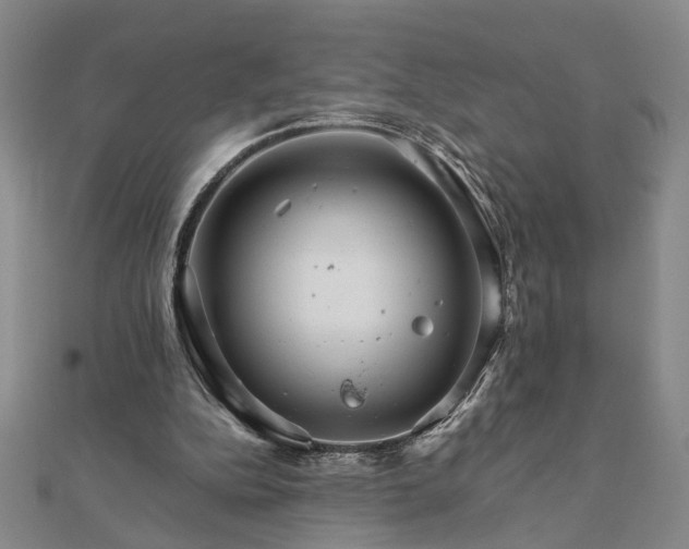 X0000111900152200908031124