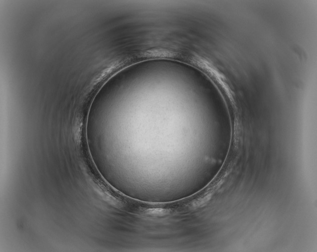 X0000111900153200908031124