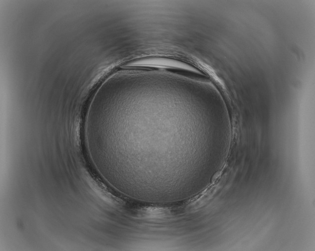 X0000111900154200908031124