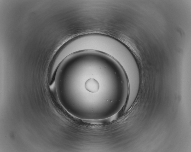 X0000111900156200908031124