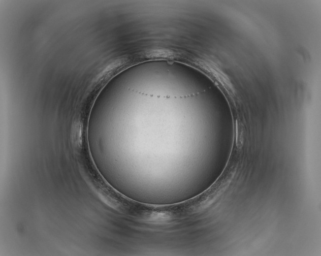 X0000111900157200908031124