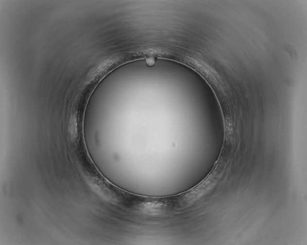 X0000111900158200908031124