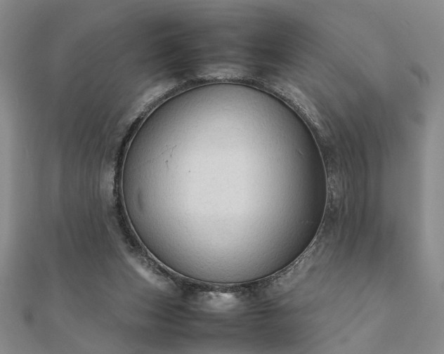 X0000111900159200908031124