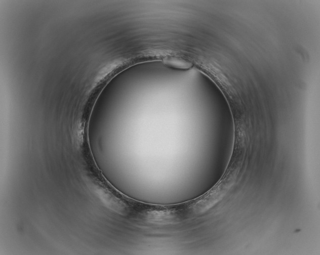 X0000111900160200908031124