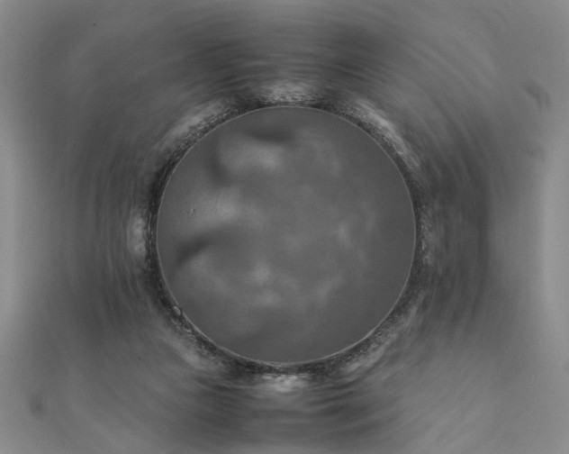 X0000111900161200908031124