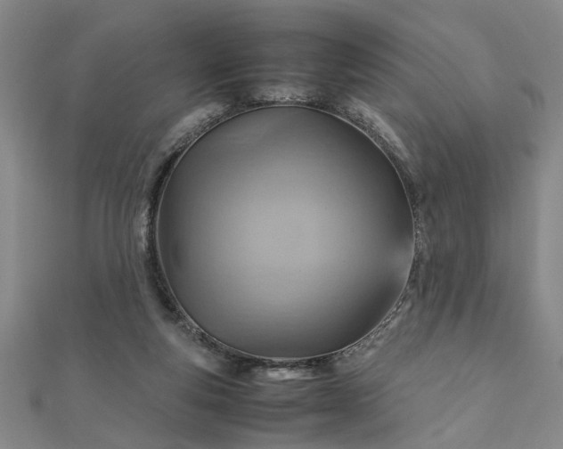 X0000111900163200908031124