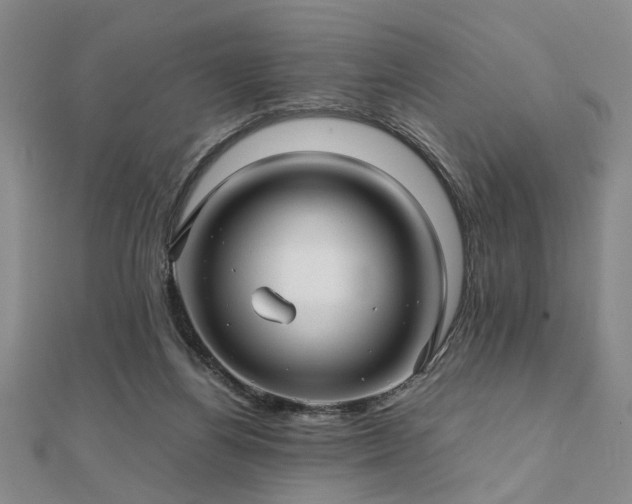 X0000111900164200908031124