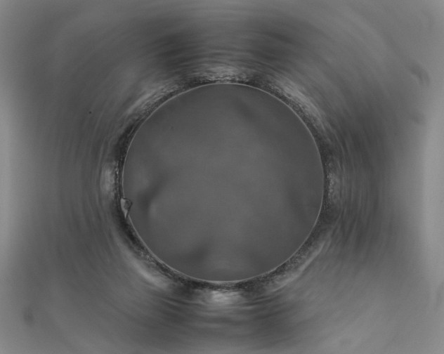 X0000111900165200908031124