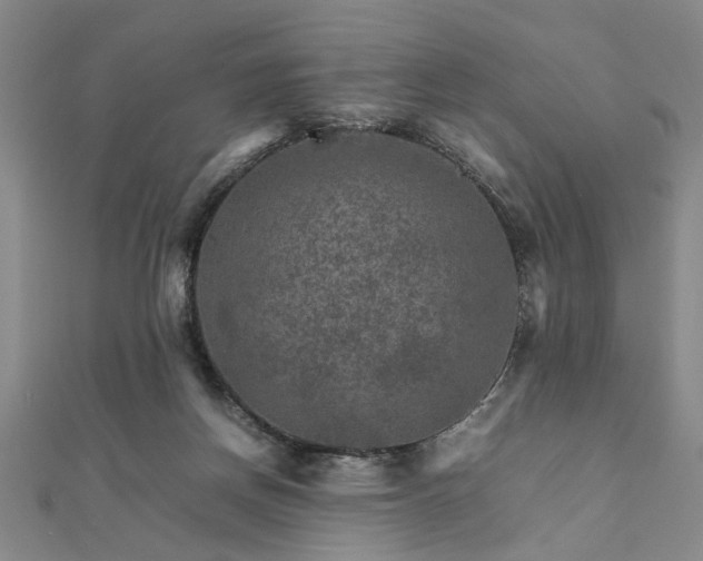 X0000111900166200908031124