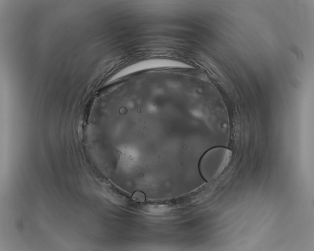 X0000111900169200908031124