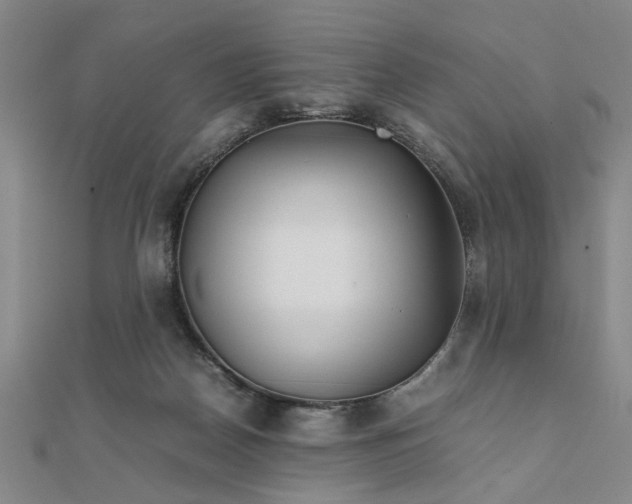 X0000111900170200908031124