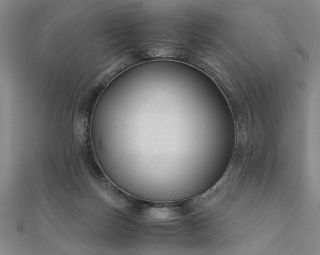 X0000111900171200908031124