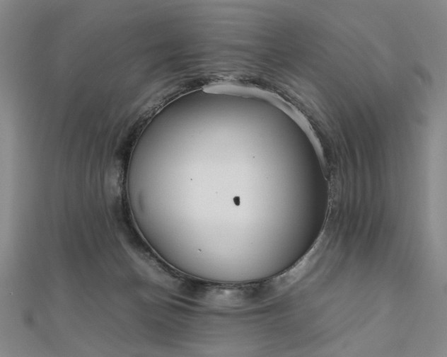 X0000111900174200908031124