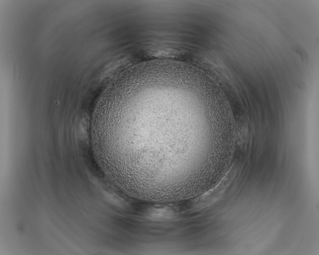 X0000111900175200908031124