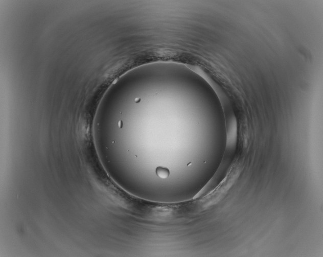 X0000111900176200908031124