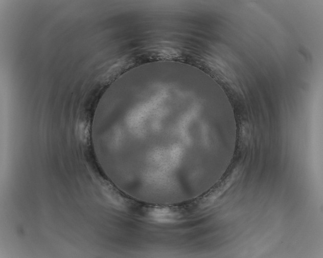 X0000111900177200908031124