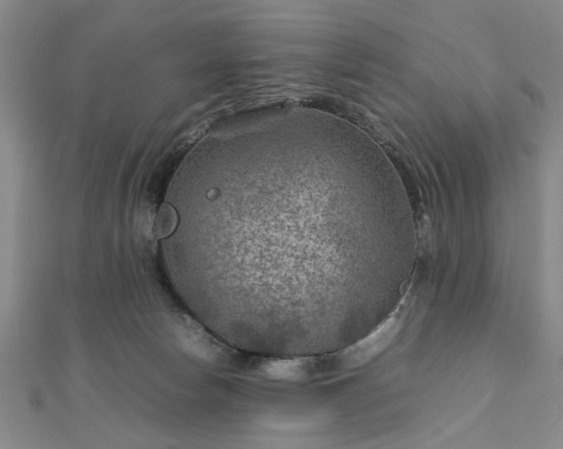 X0000111900178200908031124