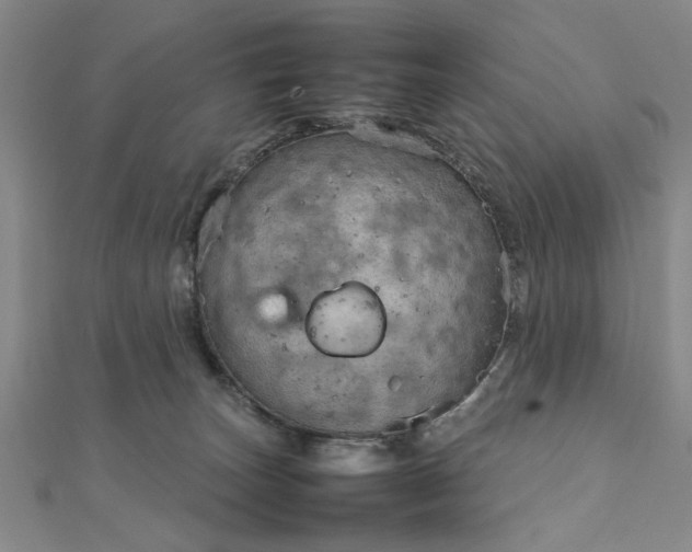 X0000111900179200908031124