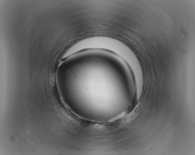 X0000111900180200908031125