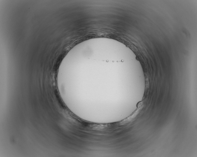 X0000111900182200908031125