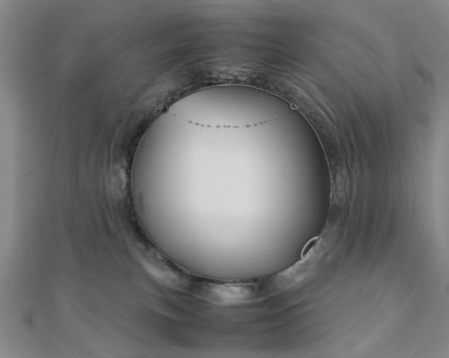 X0000111900183200908031125