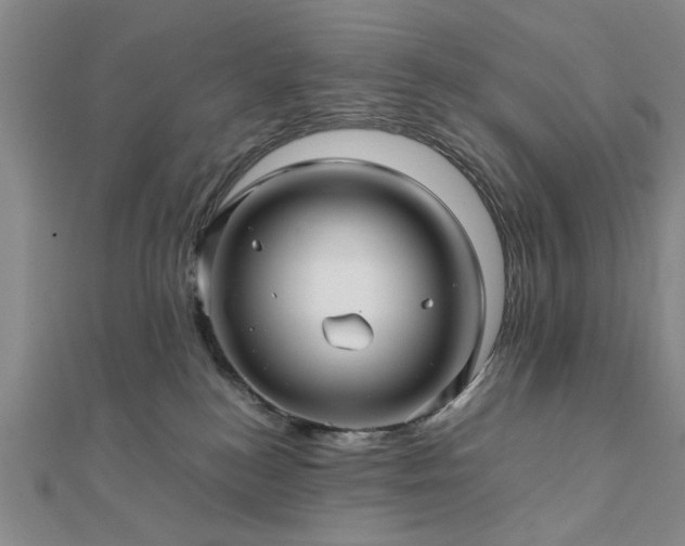 X0000111900184200908031125