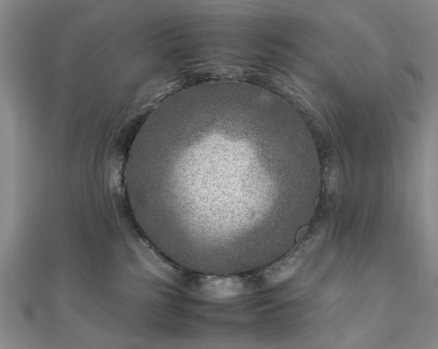 X0000111900185200908031125