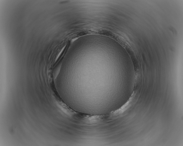 X0000111900186200908031125