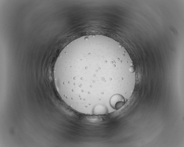 X0000111900187200908031125