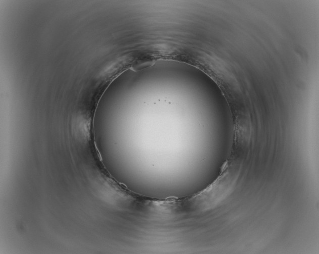 X0000111900188200908031125