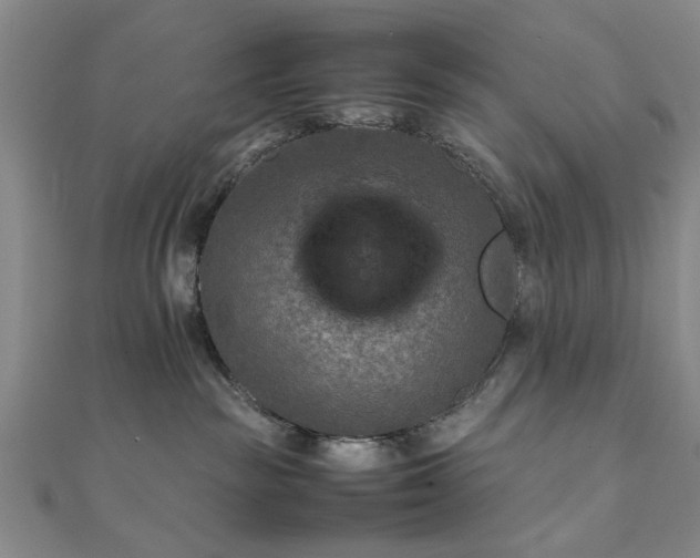 X0000111900189200908031125