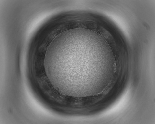 X0000111900191200908031125