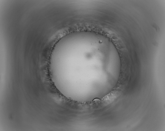 X0000111900192200908031125