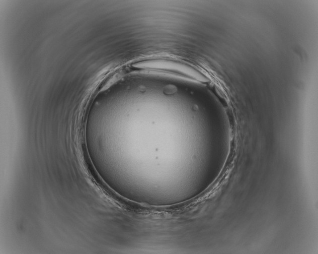 X0000111900193200908031124