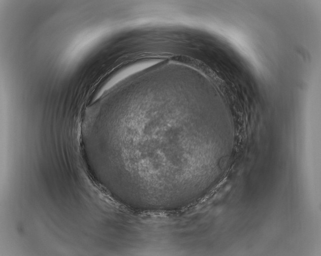 X0000111900194200908031124