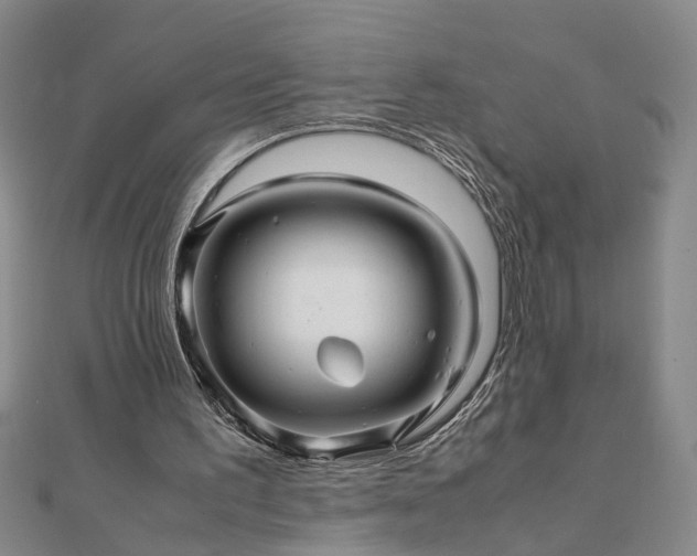 X0000111900195200908031124