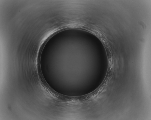 X0000111900196200908031124