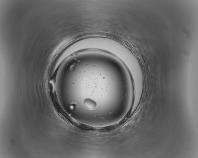 X0000111900197200908031124