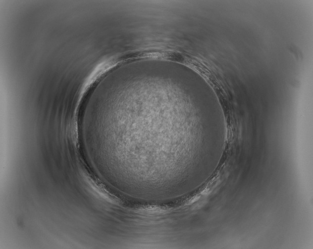 X0000111900198200908031124