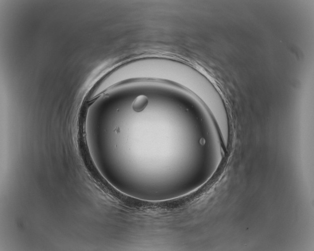 X0000111900199200908031124