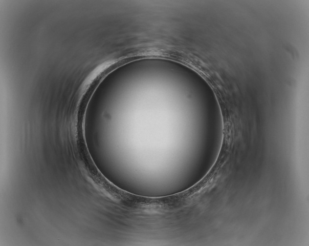 X0000111900200200908031124