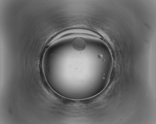 X0000111900201200908031124