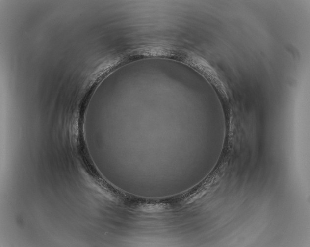 X0000111900202200908031124