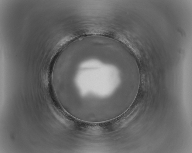 X0000111900203200908031124