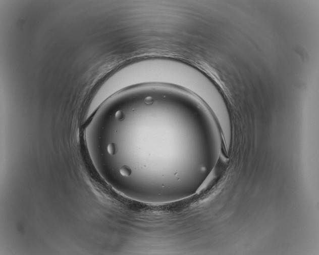 X0000111900205200908031124