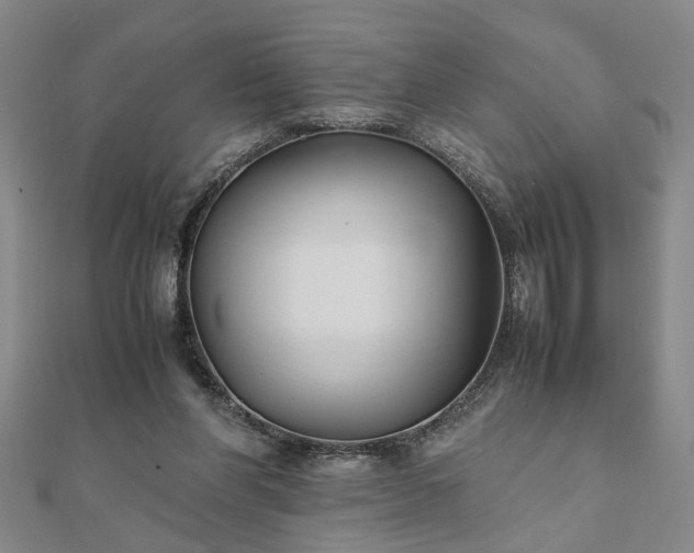 X0000111900206200908031124