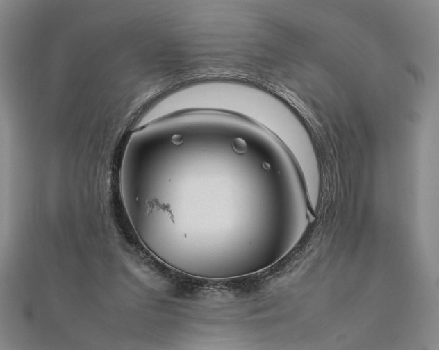 X0000111900207200908031124